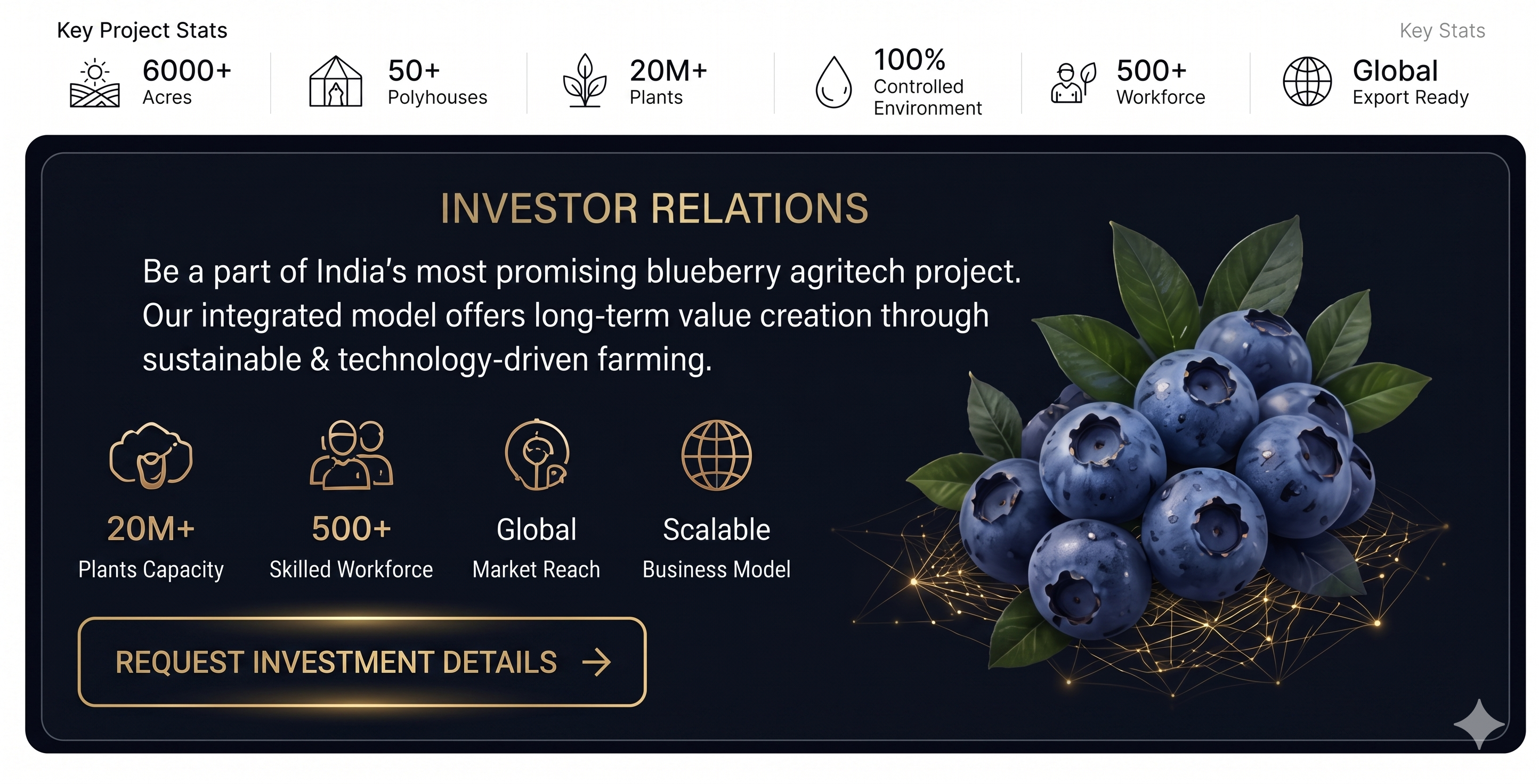 Prime Berry Agritech – 5000 Acres Polyhouse Project Master Plan